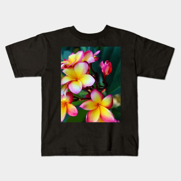 plumeria-flowers-frangipani-floral-blossom-petal-rubra-shirtyshirto-02 Kids T-Shirt by Shirty.Shirto